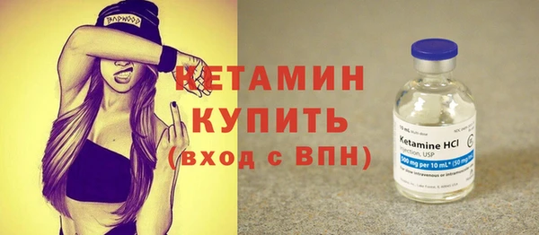 индика Новодвинск