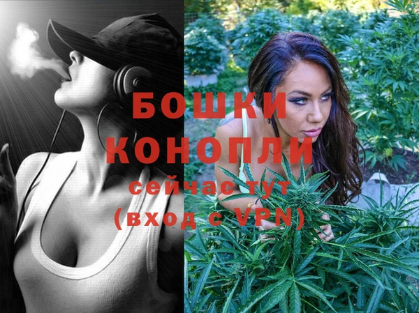 индика Новодвинск