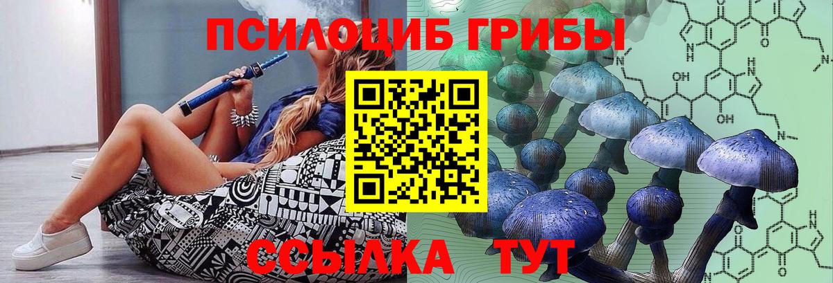 Галлюциногенные грибы Psilocybe  Галлюциногенные грибы ЛСД  Новороссийск  Вход с VPN 